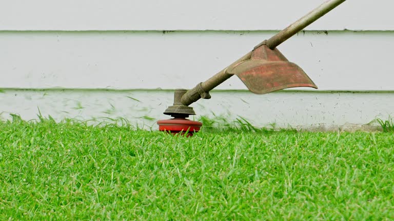 Best Lawn Mowing  in Beaufort, SC